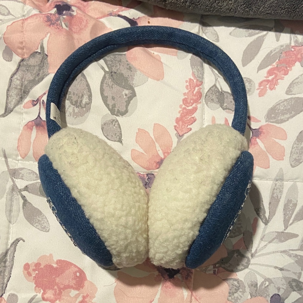 Cozy Blue and White Earmuffs